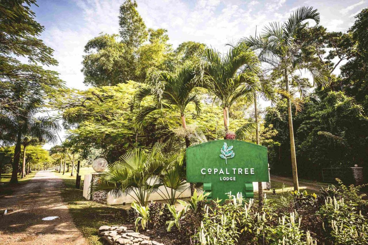 Copal Tree Lodge A Muy'Ono Resort Toledo District Exterior photo